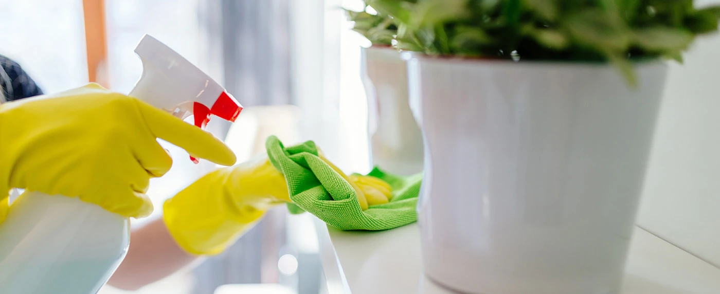 Resources/1/Banner-Domestic-final-1.webp